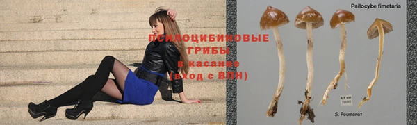 трава Беломорск