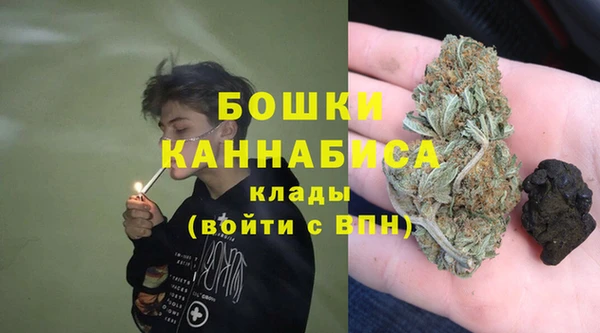 сатива Белоозёрский