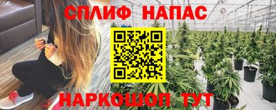 кокаин Будённовск