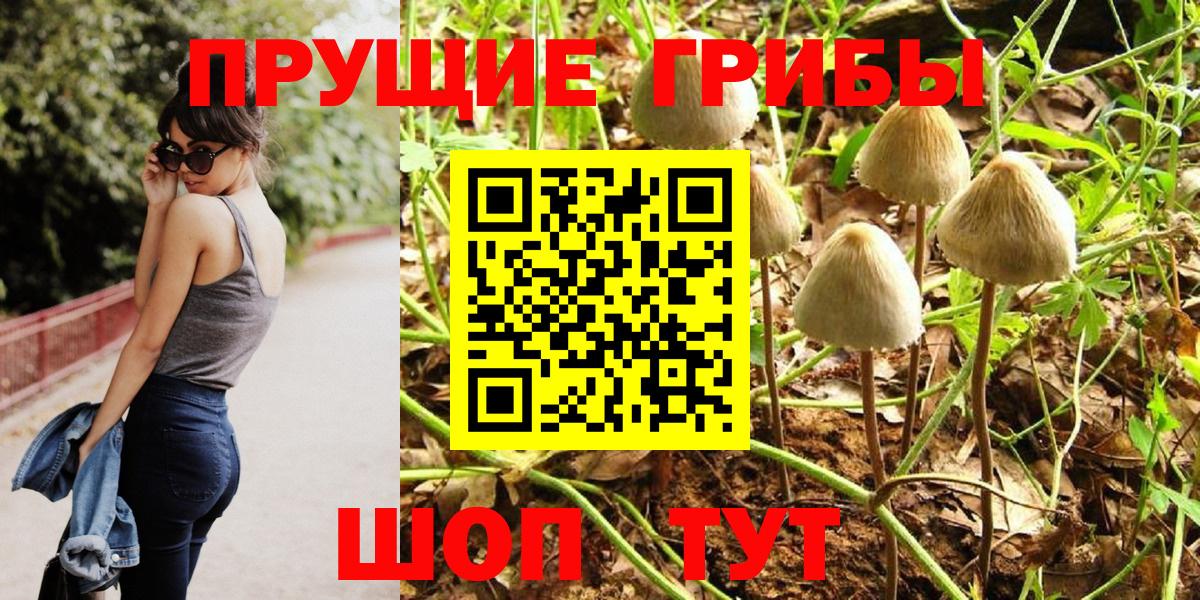 купить наркотик  Вход с VPN  Минеральные Воды  Псилоцибиновые грибы Magic Shrooms  Псилоцибиновые грибы Magic Shrooms 